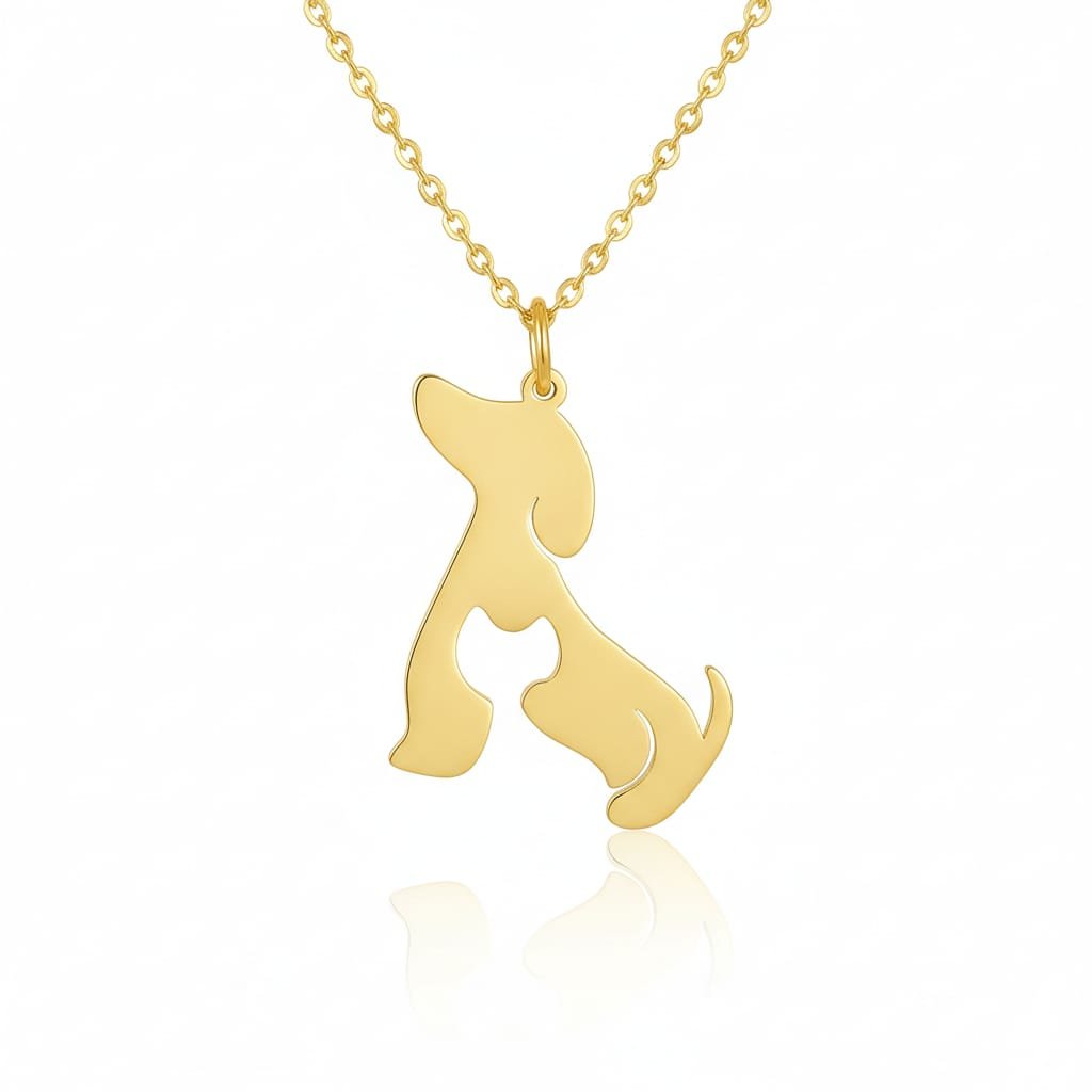 Collar perro y gato juntos